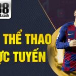 M88 Thể thao trực tuyến